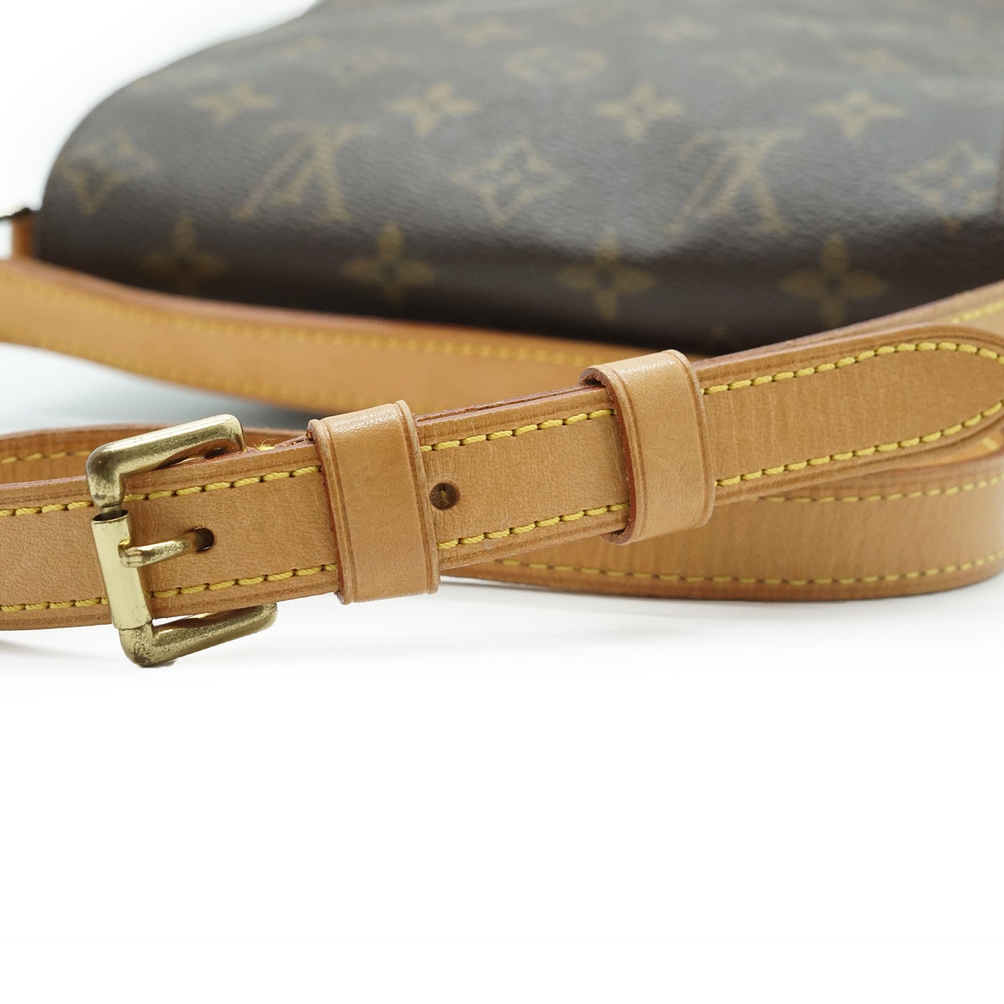 Monogram Musette Salsa