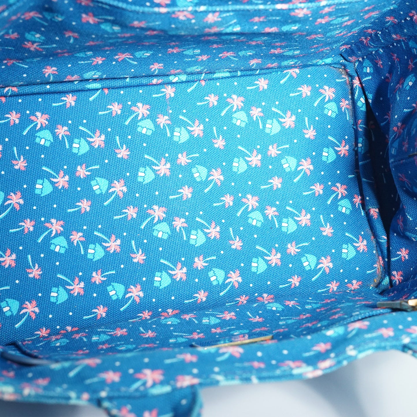 Palm Trees Print 2way Canapa Tote