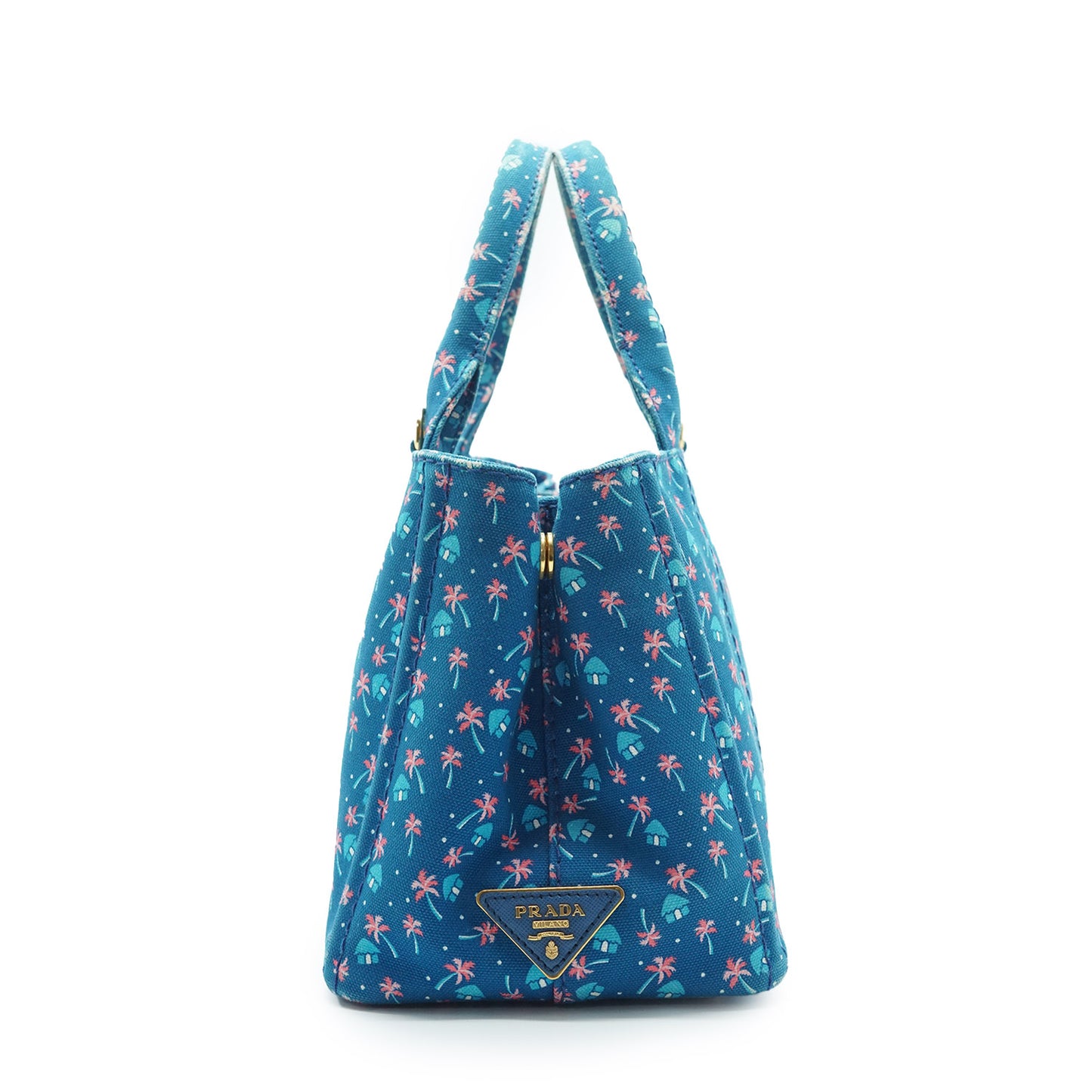 Palm Trees Print 2way Canapa Tote