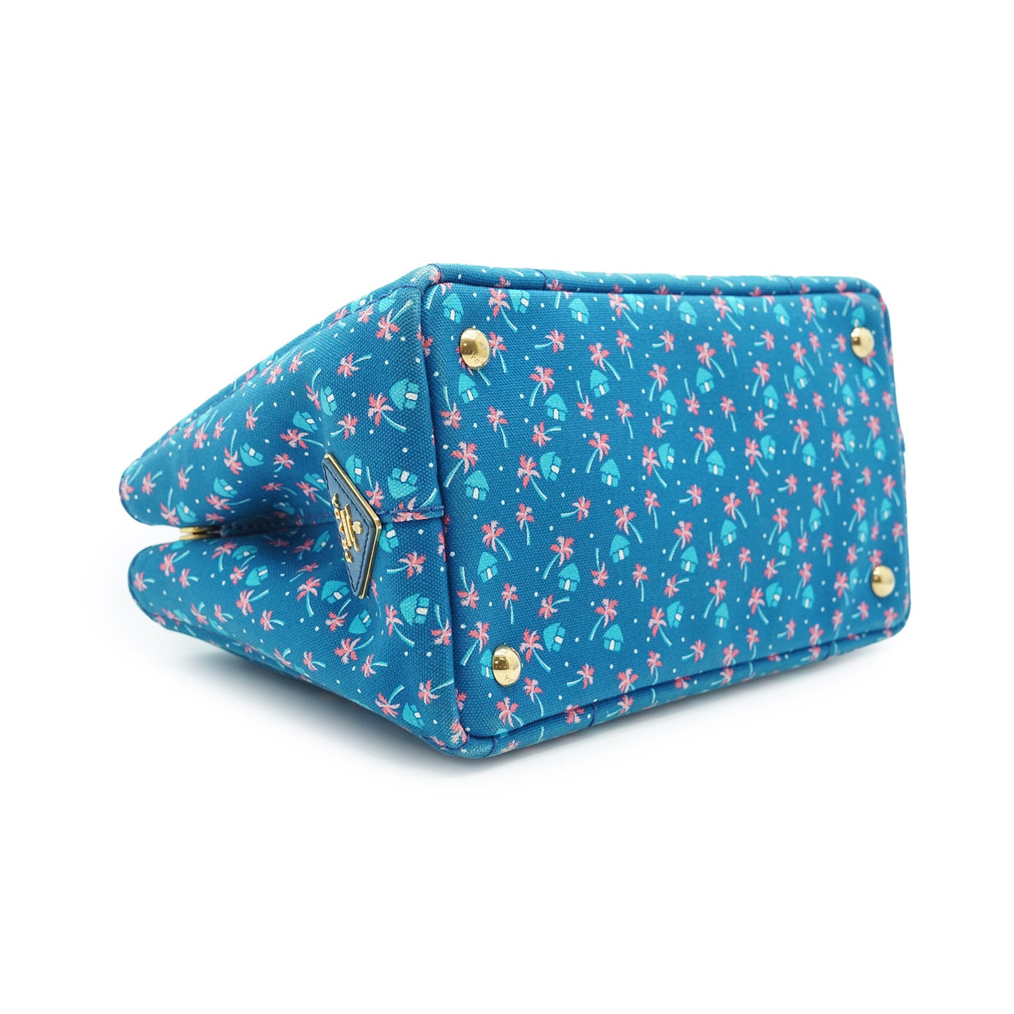 Palm Trees Print 2way Canapa Tote