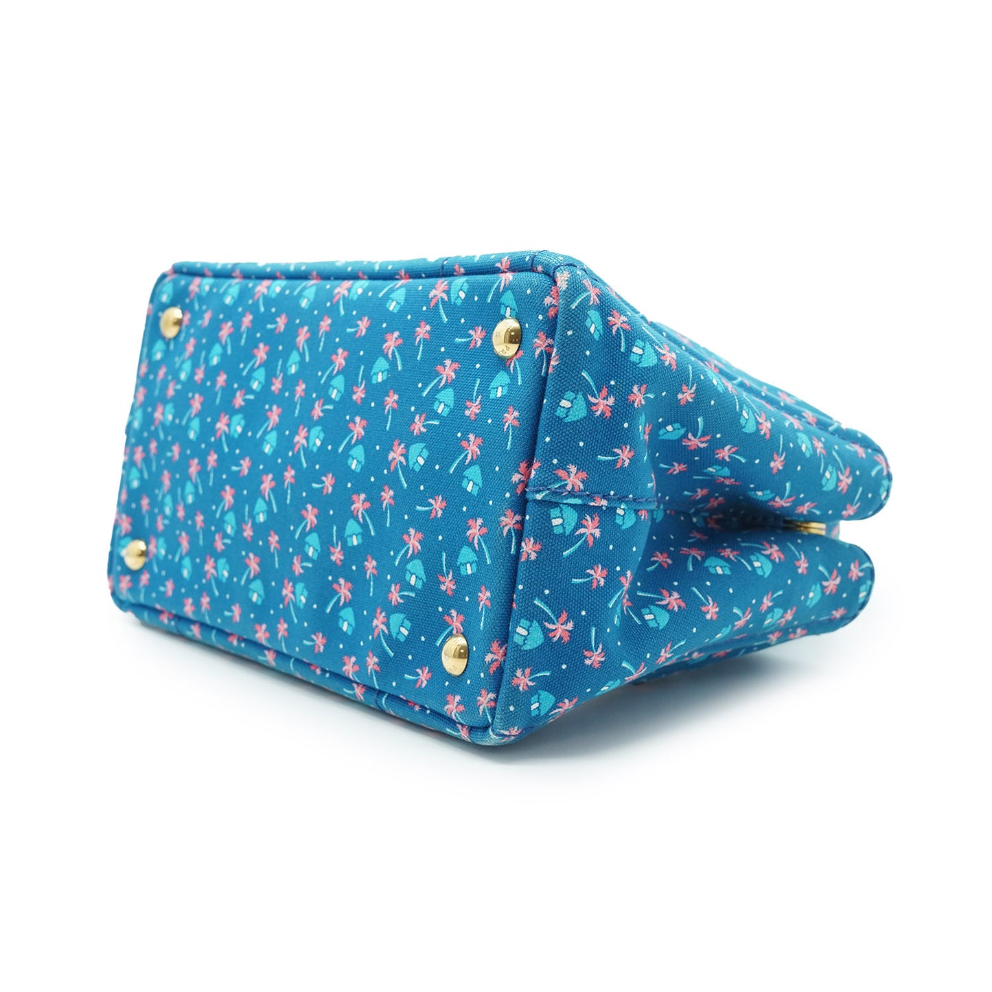 Palm Trees Print 2way Canapa Tote