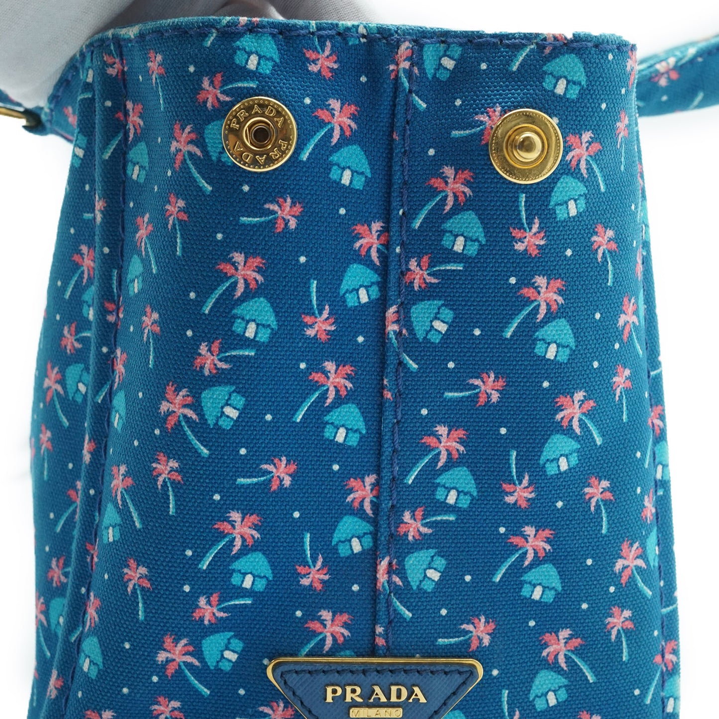 Palm Trees Print 2way Canapa Tote