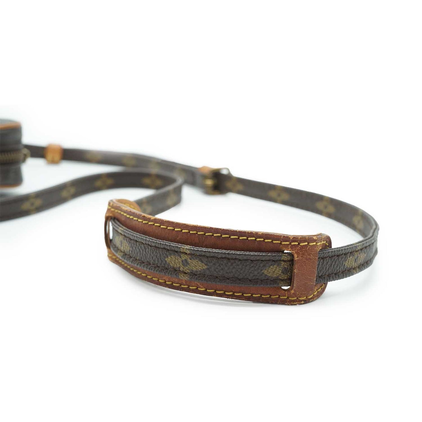 Monogram Mini Danube