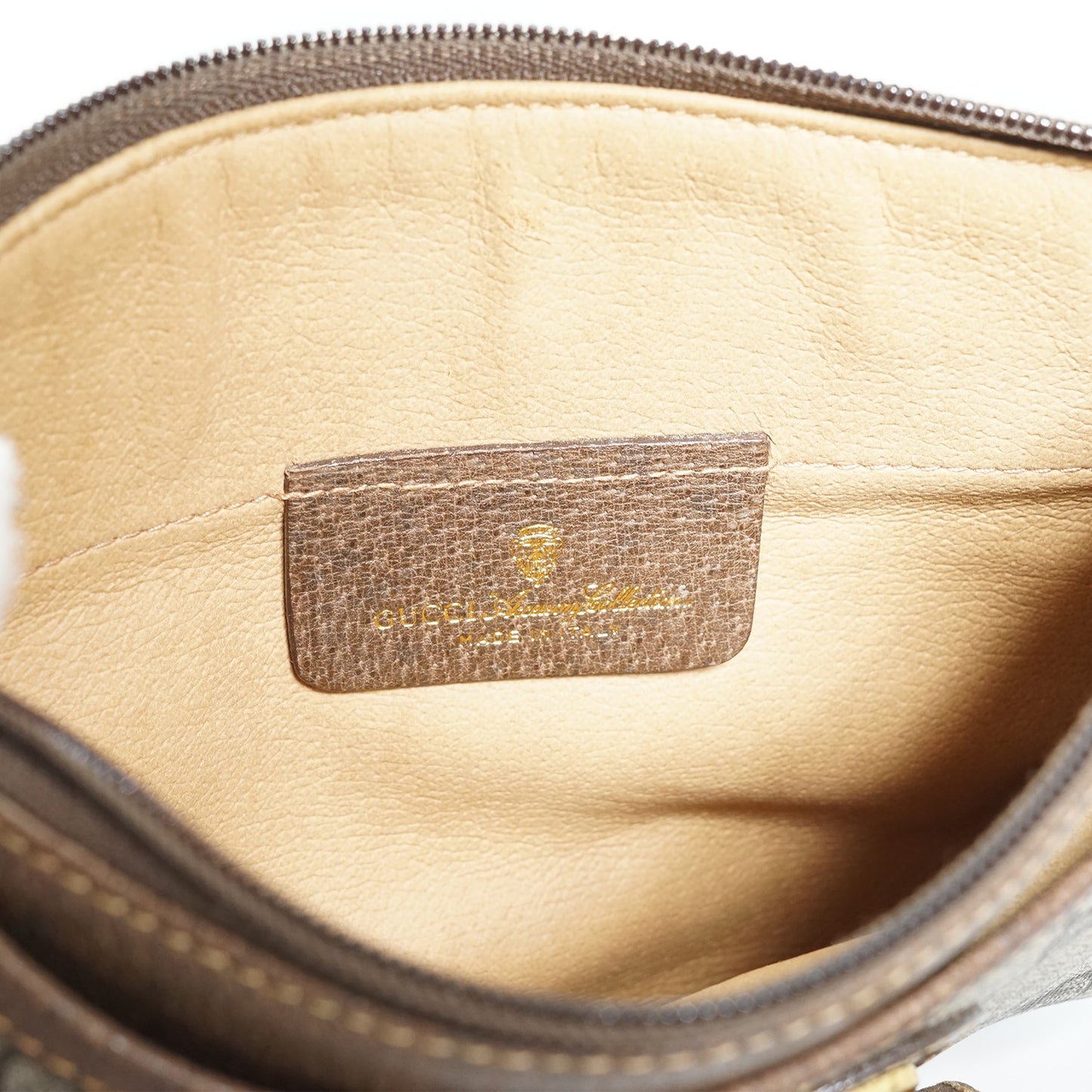 GG Canvas Vintage Ophidia Crossbody Pochette