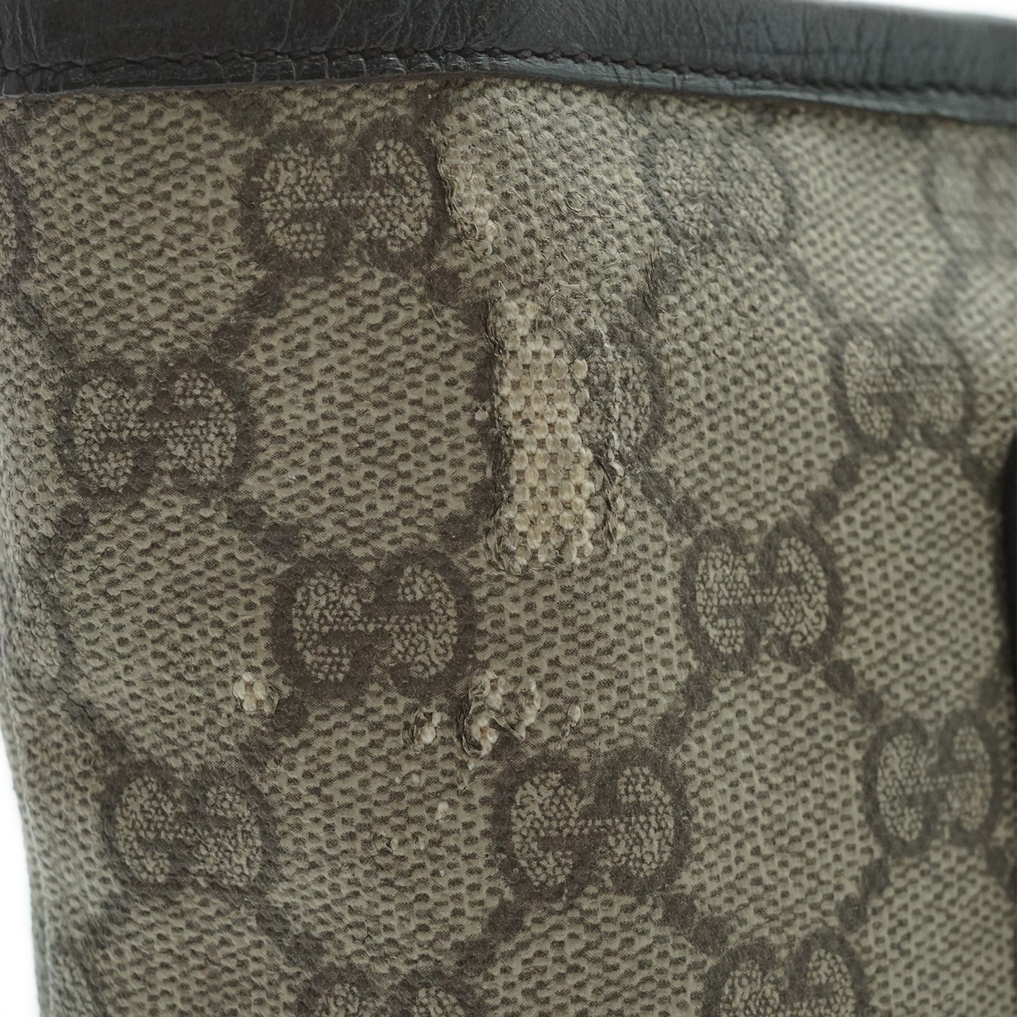 GG Supreme Coated Canvas Tote