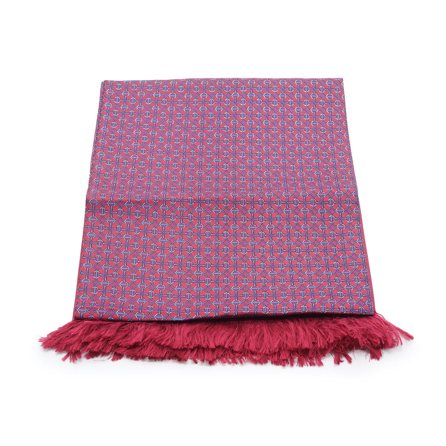 Fringe Silk Scarf