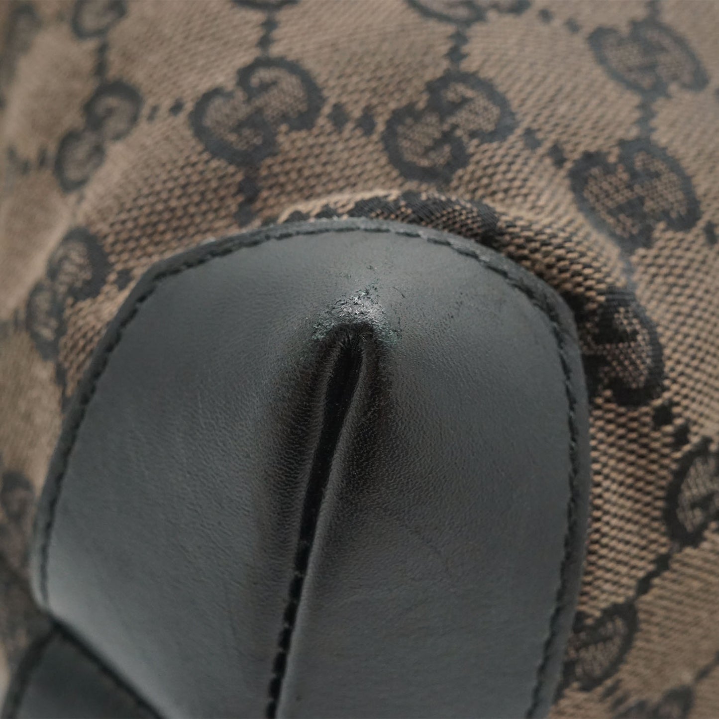 GG Canvas Pocket Tote