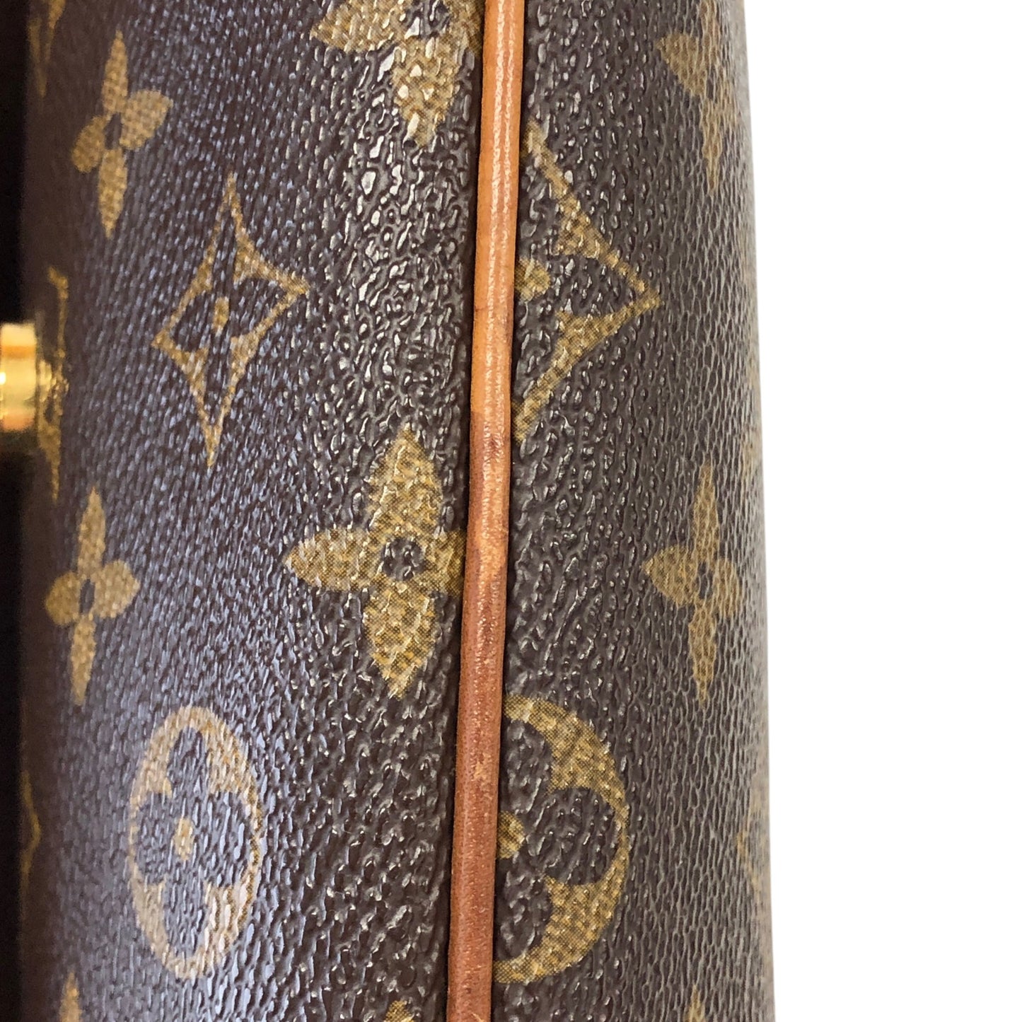 Monogram Musette Tango