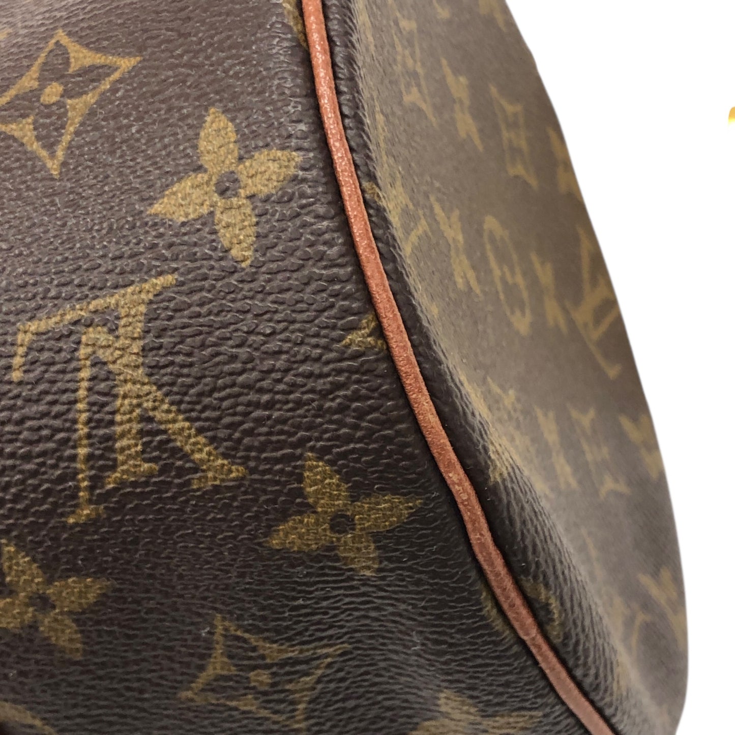 Monogram Papillon 30