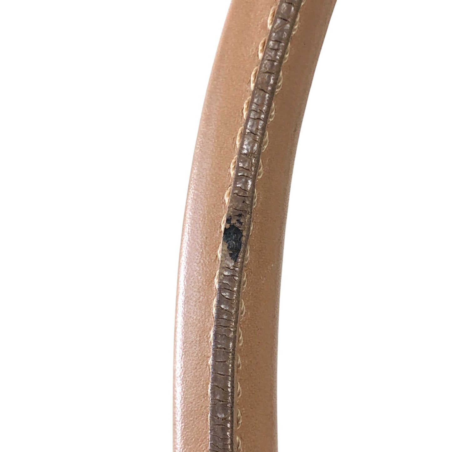 Vertical Trotter Tote
