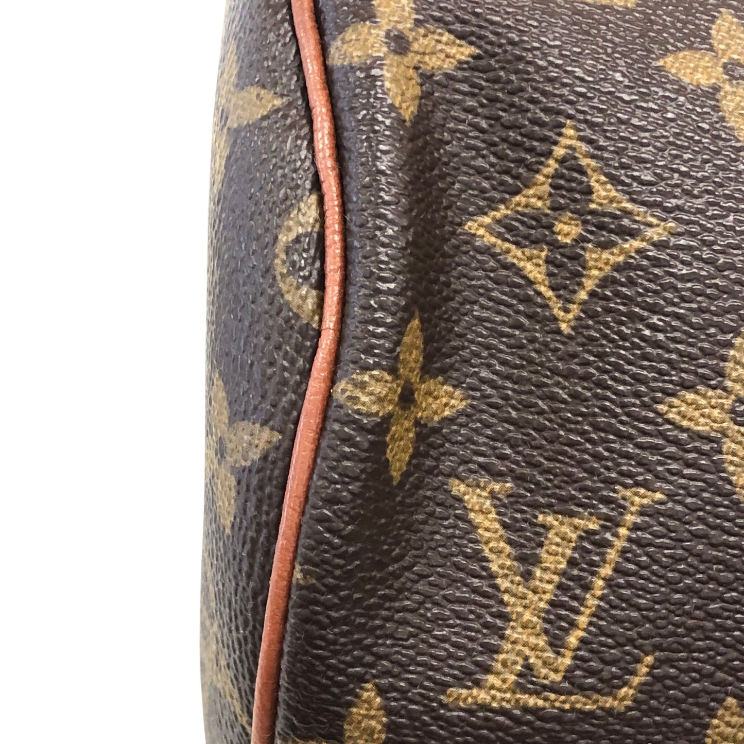 Monogram Papillon 30