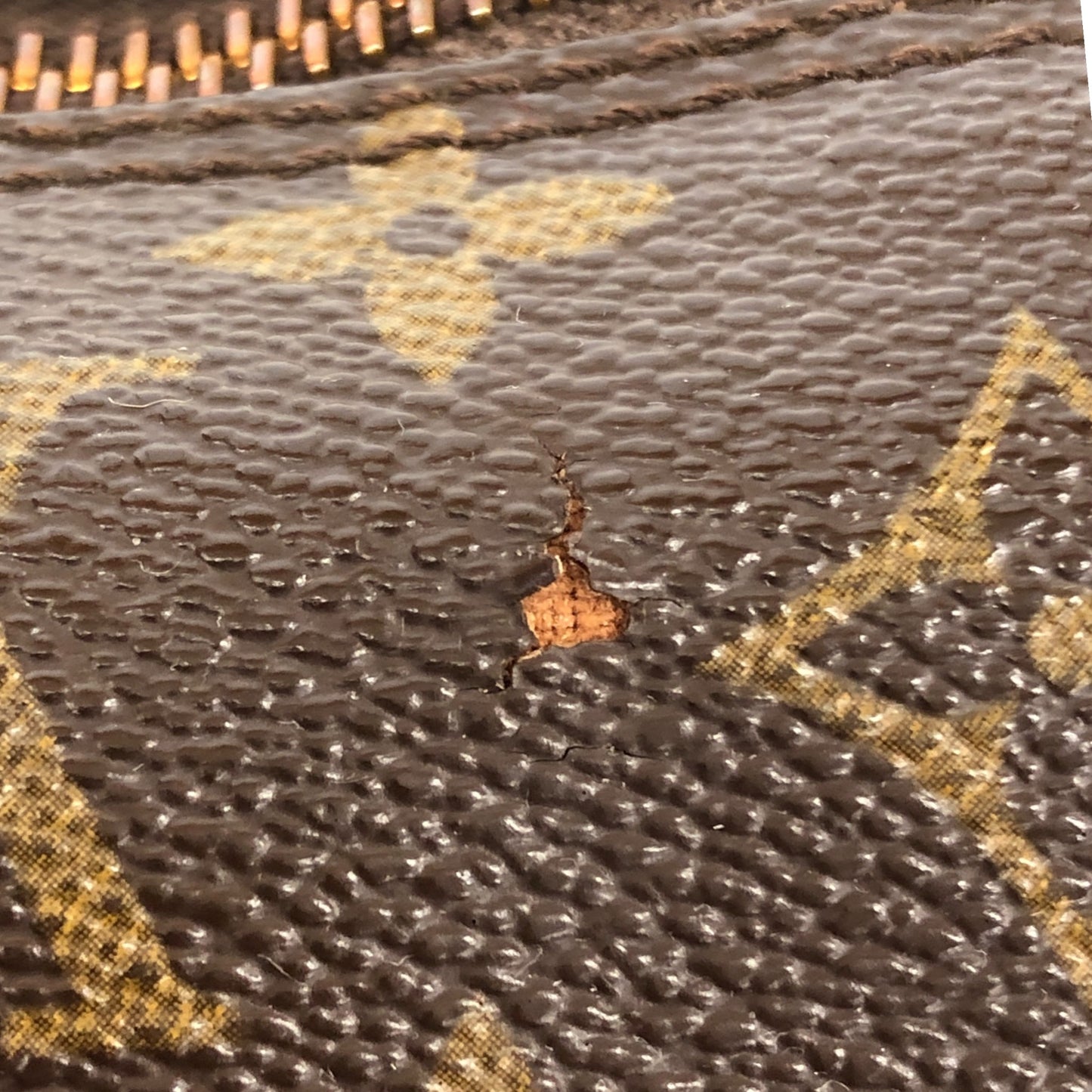 Monogram Papillon 30