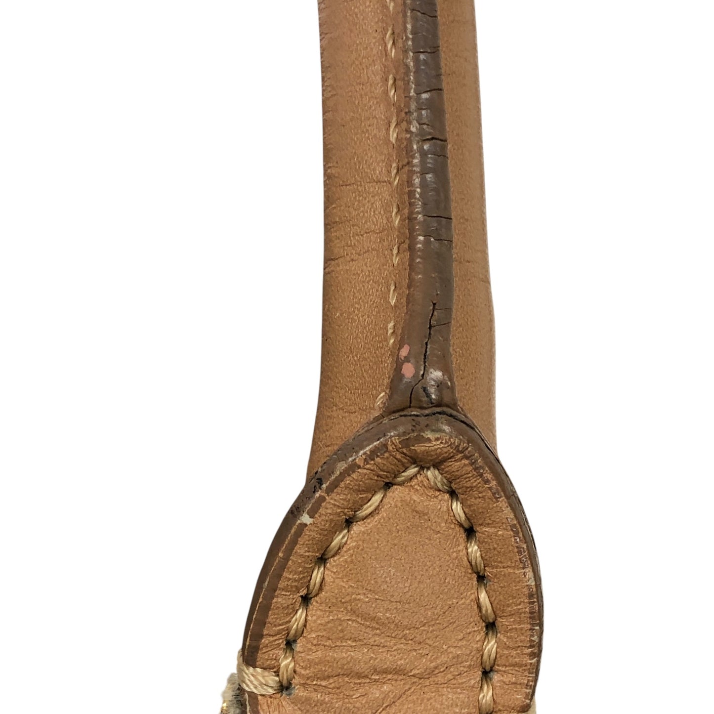 Vertical Trotter Tote