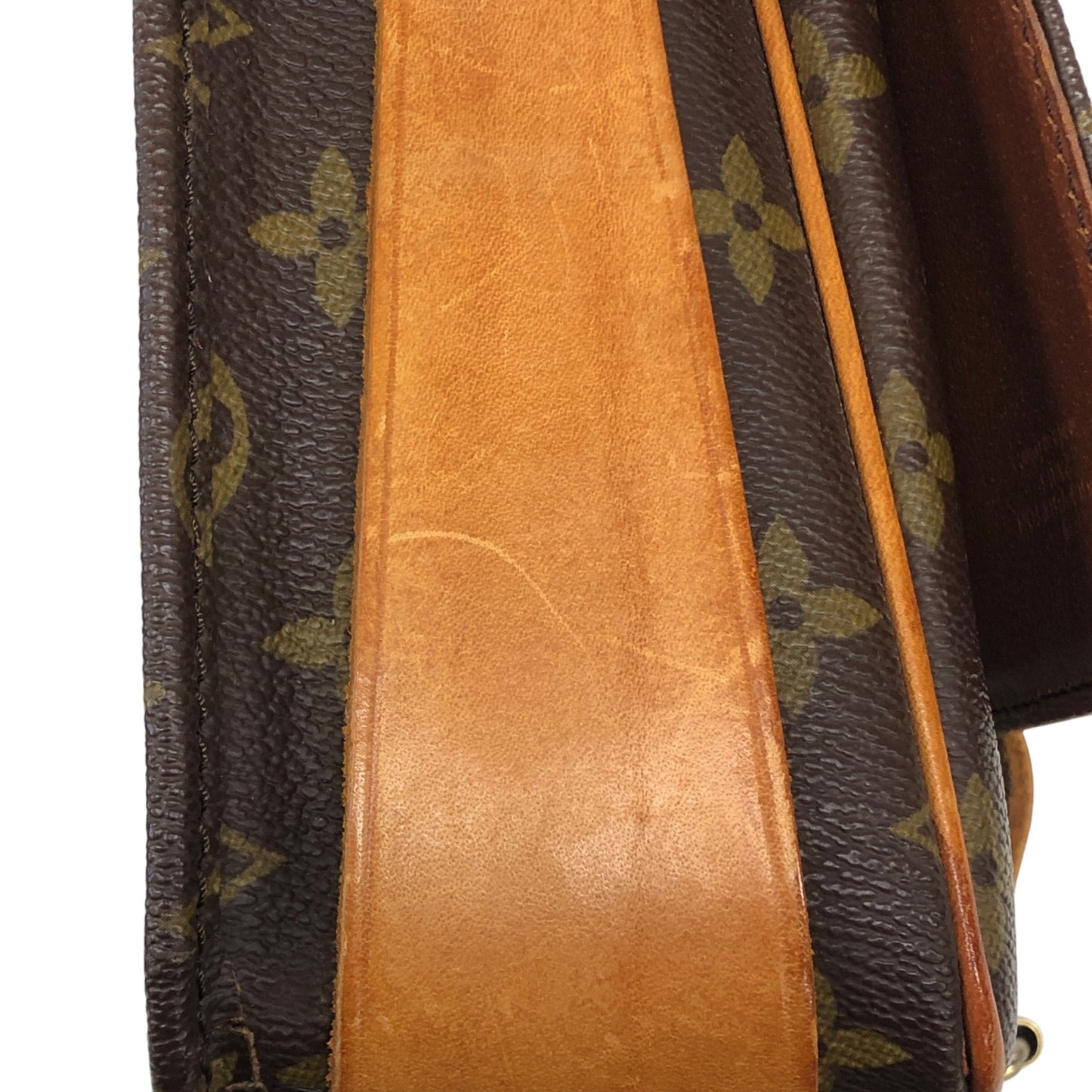 Monogram Cartouchiere MM