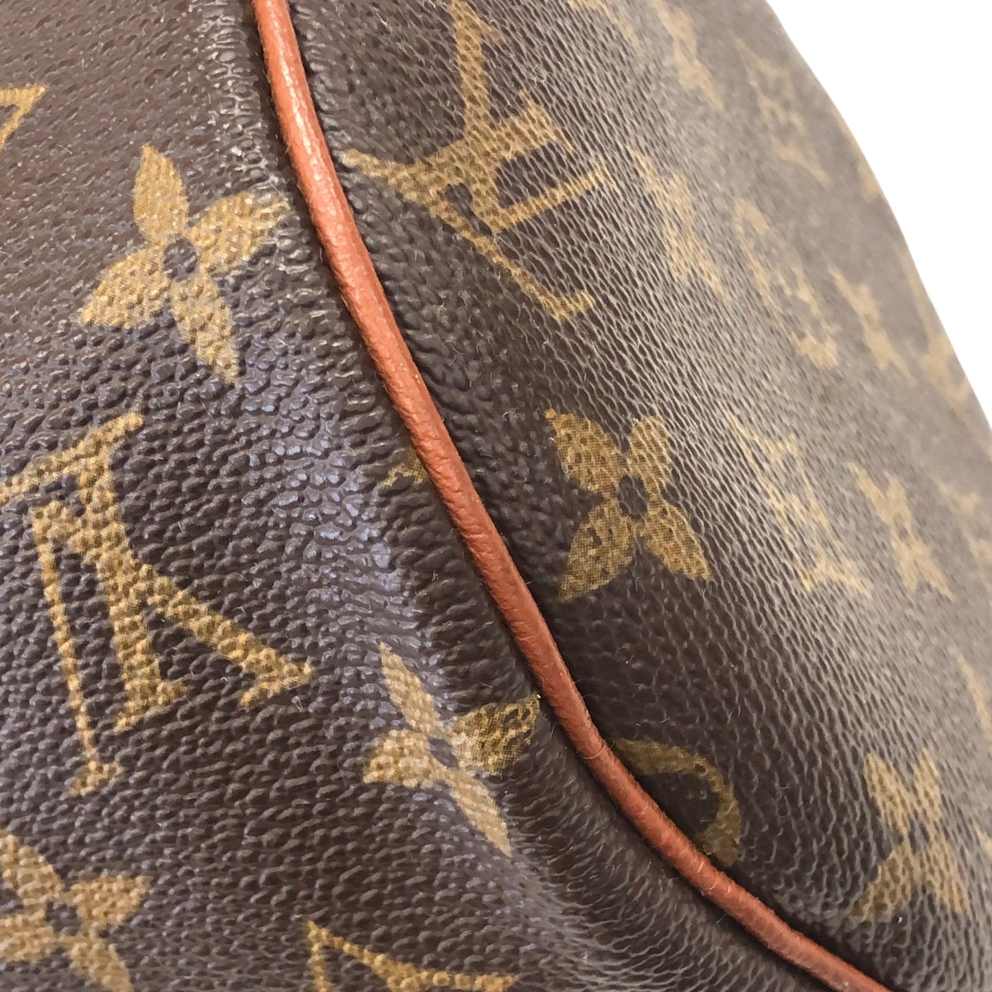 Monogram Papillon 30