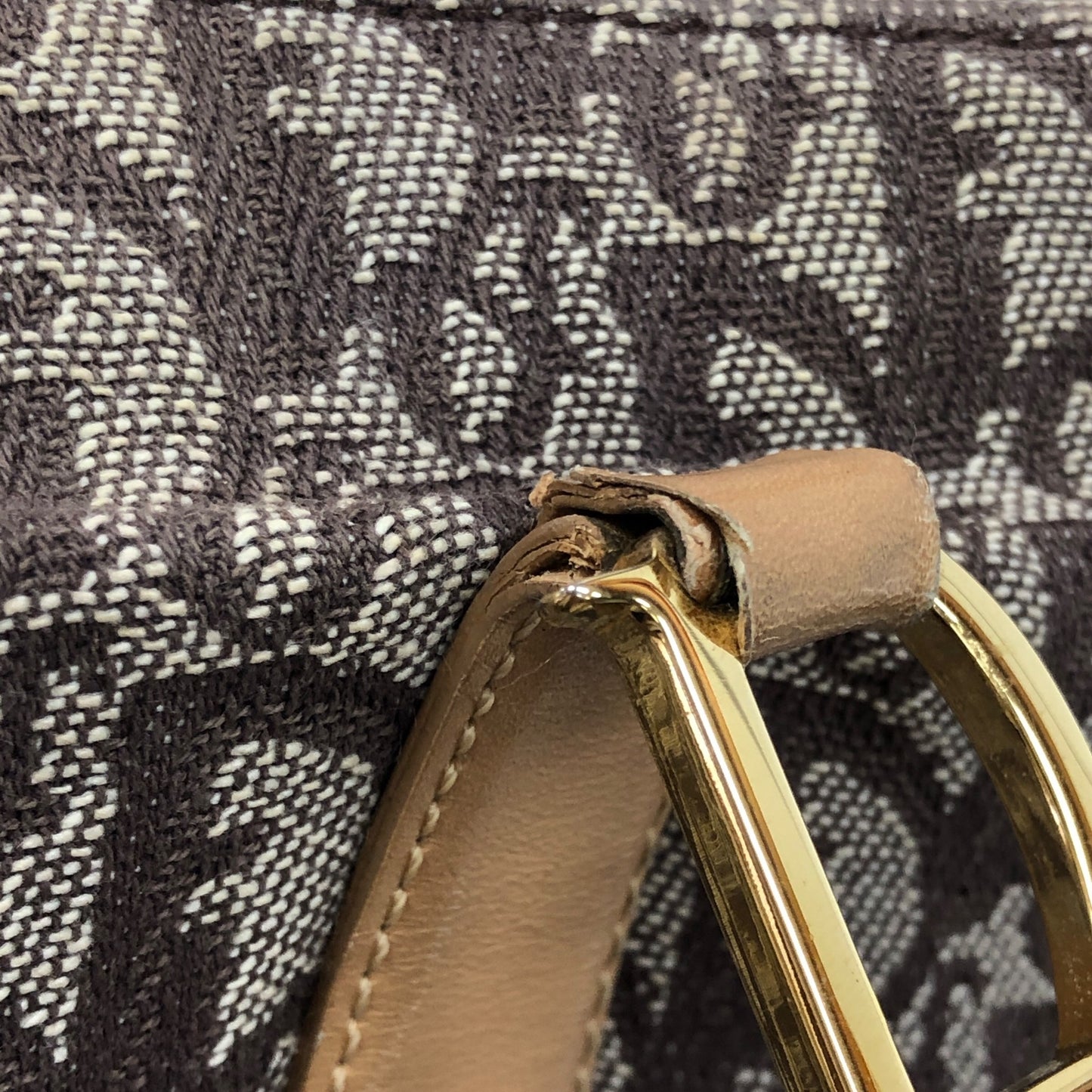 Vertical Trotter Tote