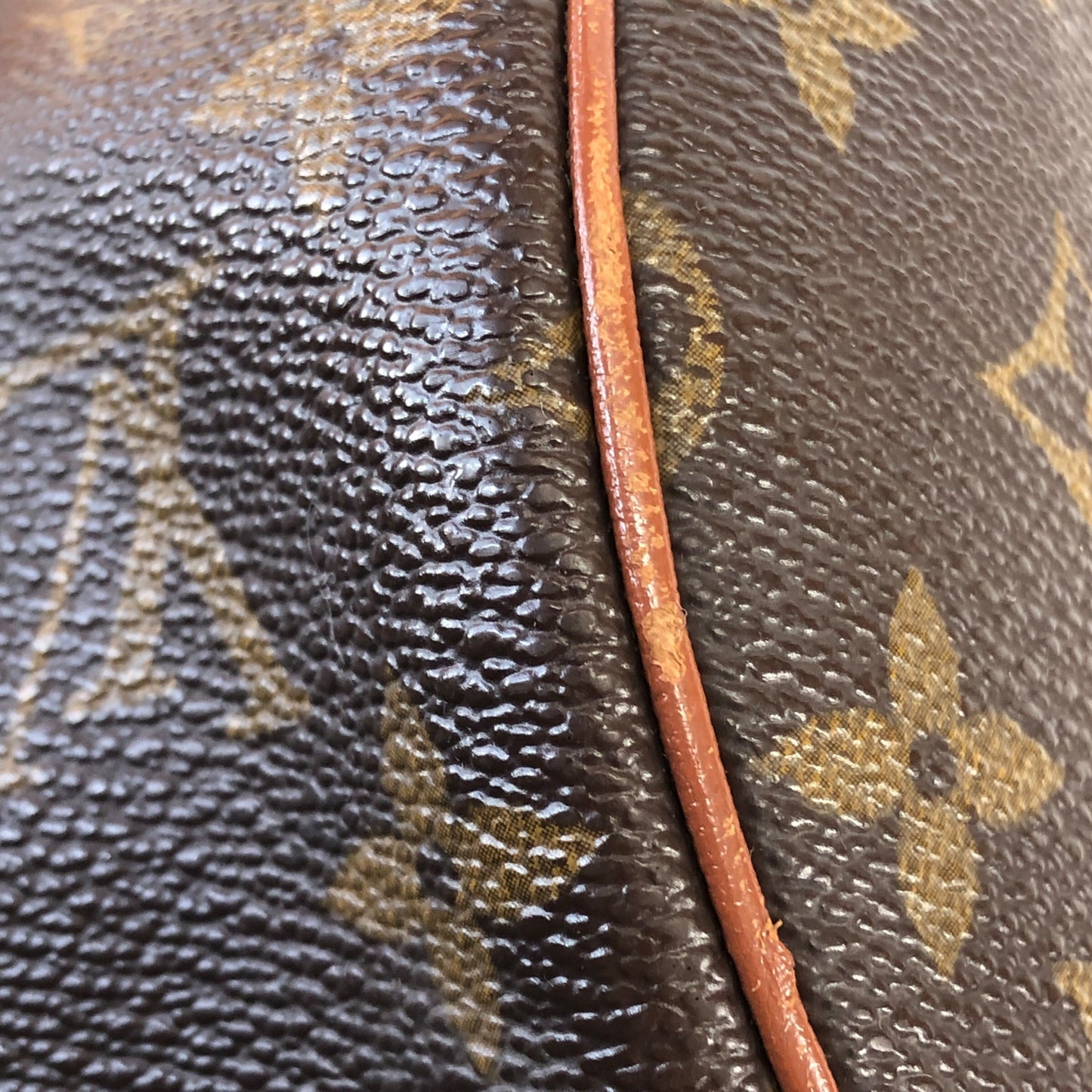 Monogram Papillon 30