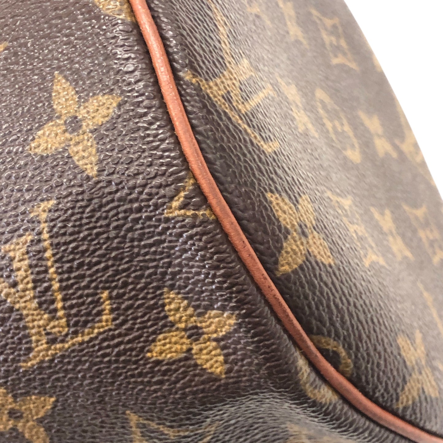 Monogram Papillon 30