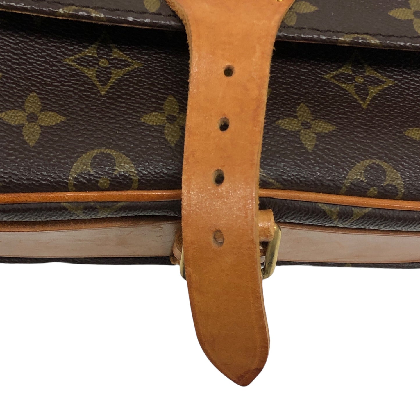 Monogram Cartouchiere MM