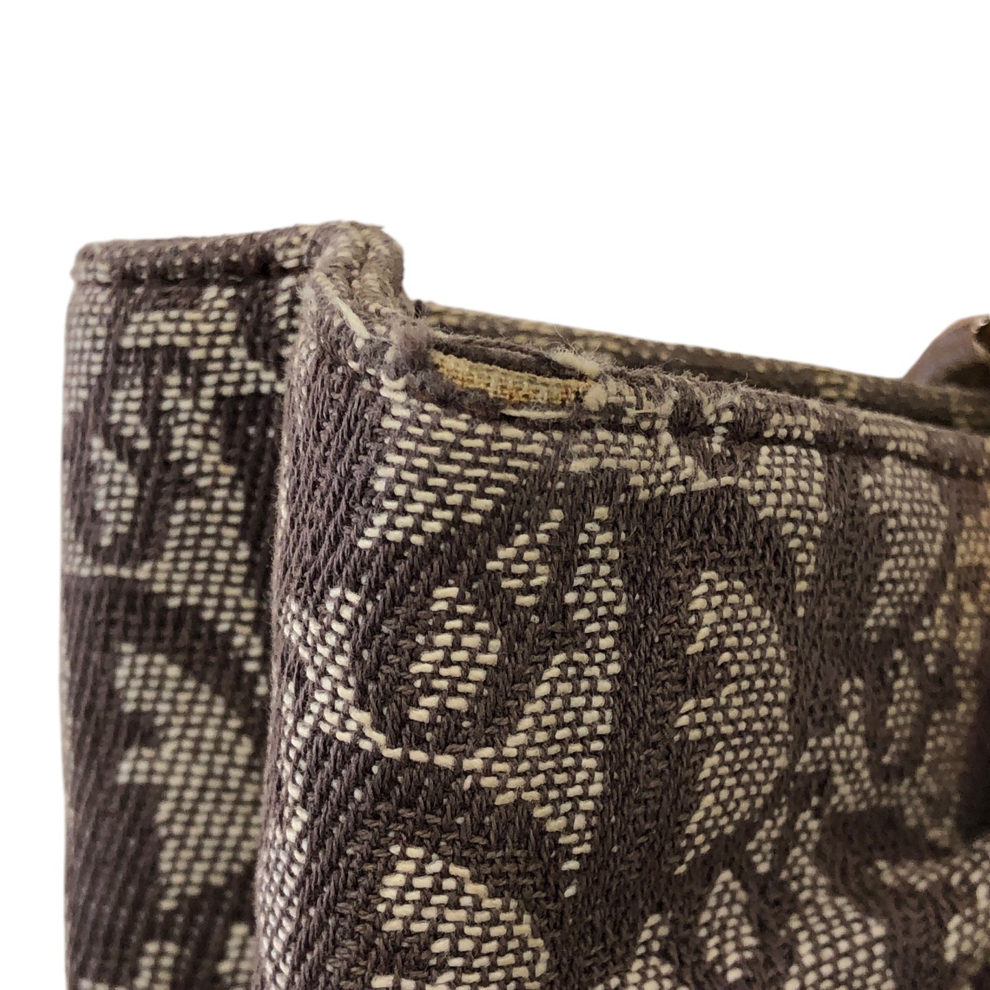 Vertical Trotter Tote
