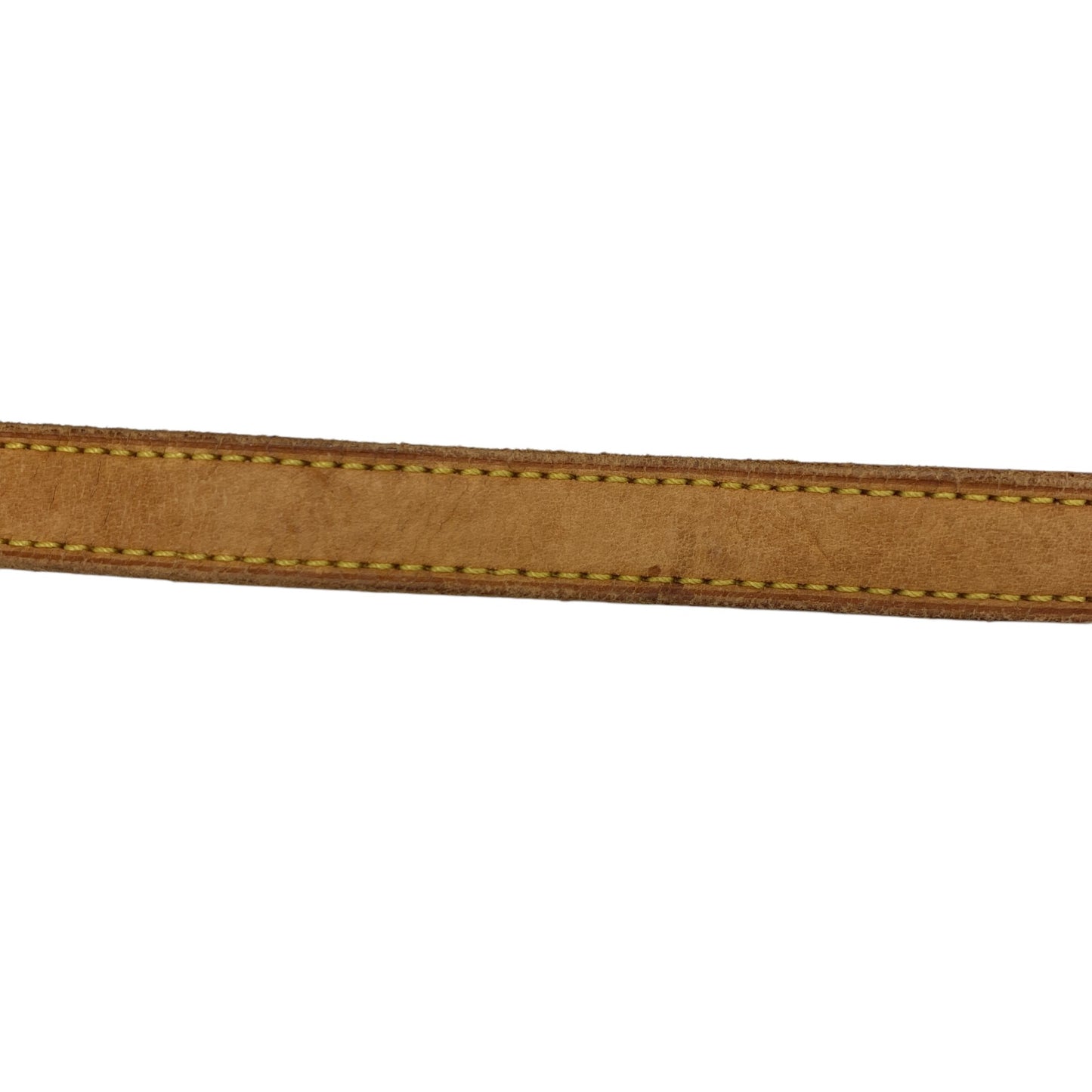 Monogram Viva Cite PM