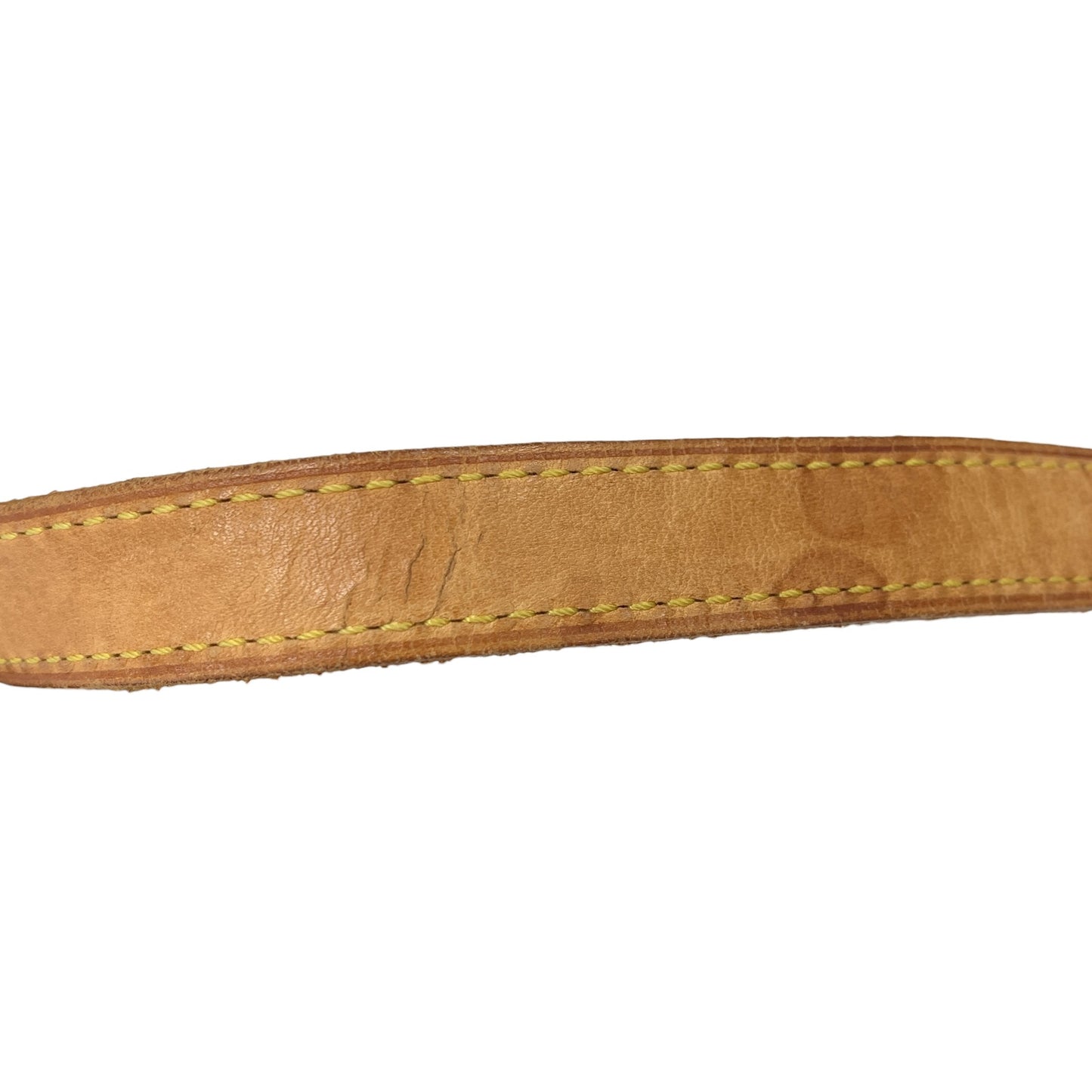 Monogram Viva Cite PM