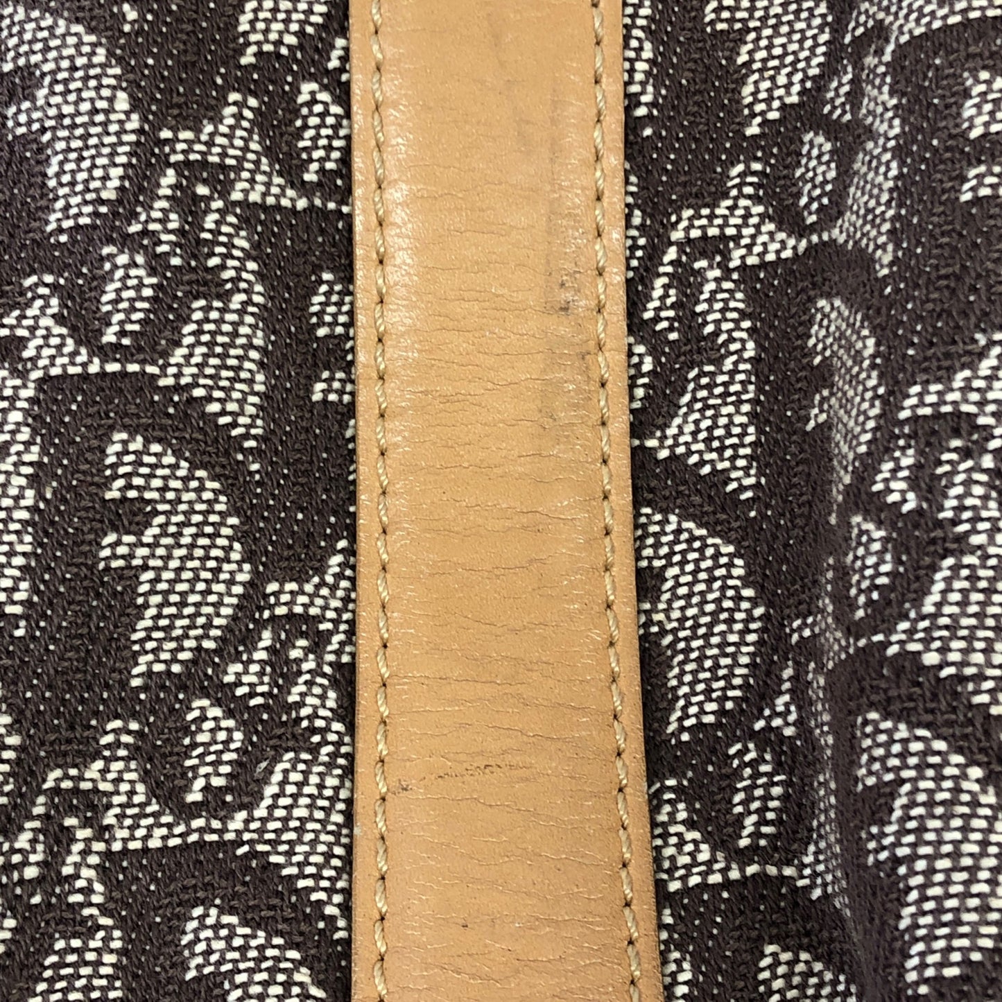 Vertical Trotter Tote