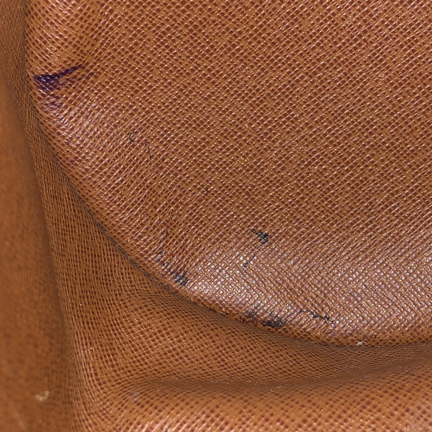 Monogram Papillon 30