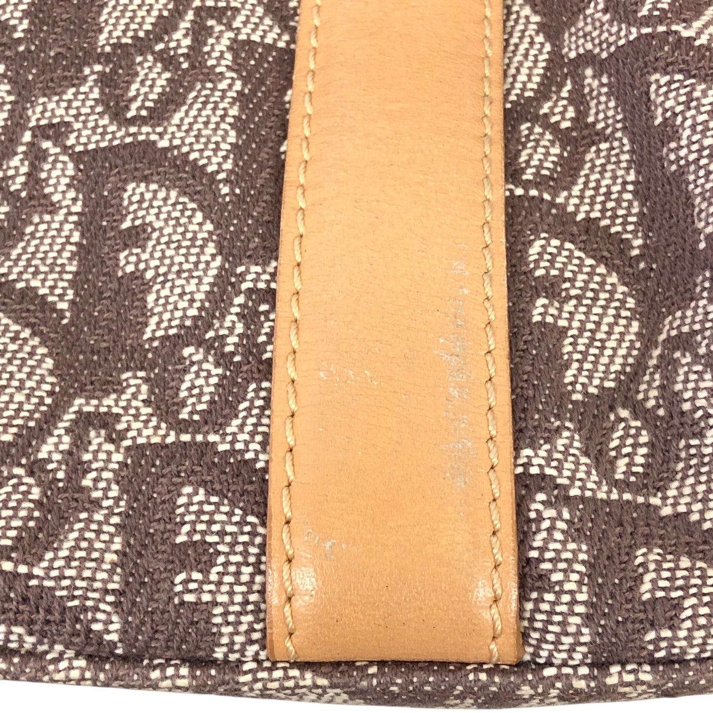 Vertical Trotter Tote
