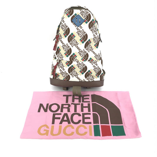 Gucci Gucci x The North Face Medium Backpack