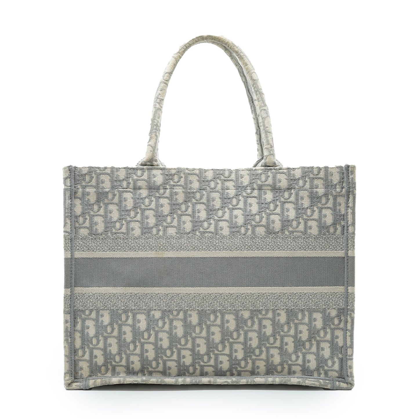 Dior Book Tote Print Trotter Oblique