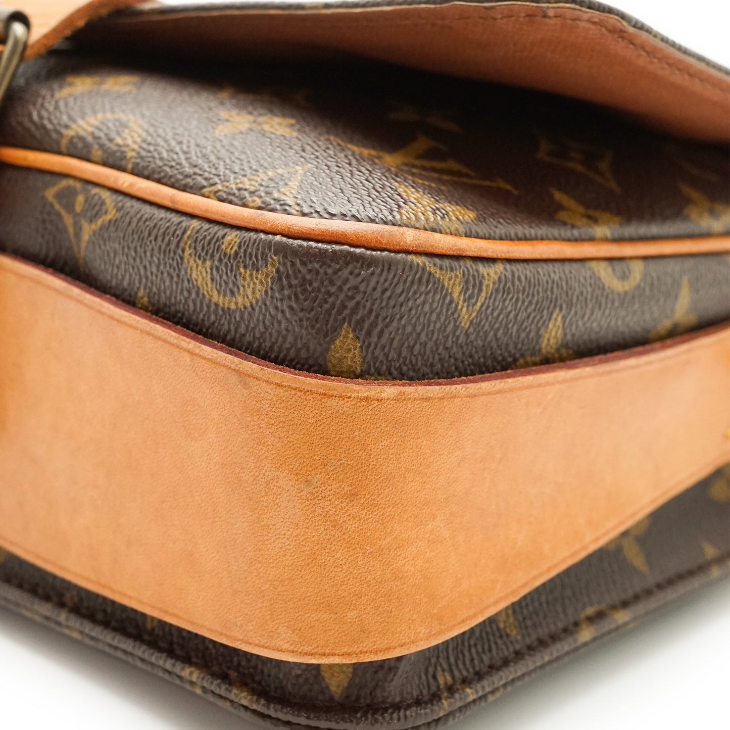 Monogram Cartouchiere MM