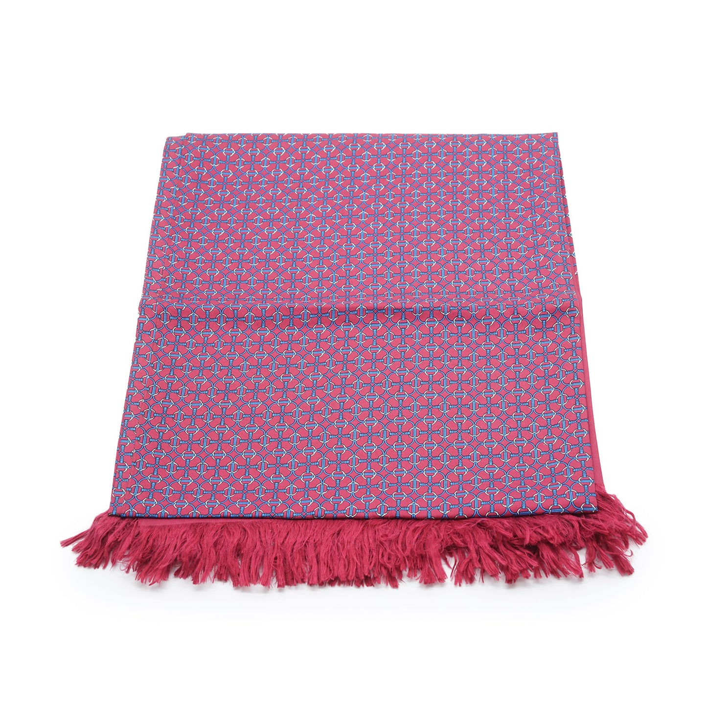 Fringe Silk Scarf