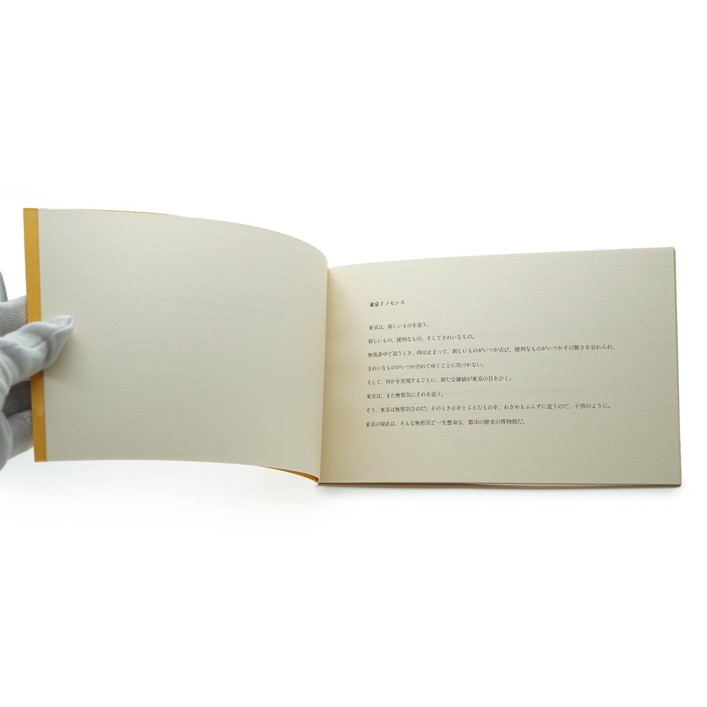 LV Carnet de Voyage Tokyo Travel Book