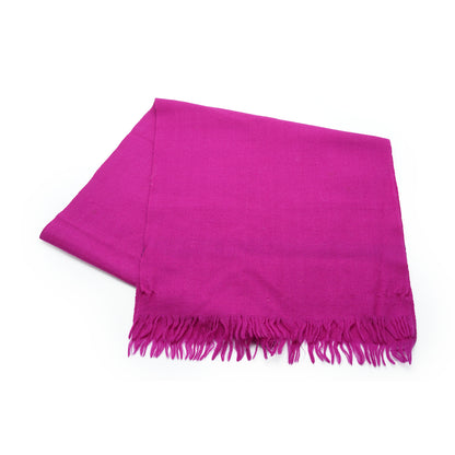 Christian Dior Echarpes Two-tone Fringed Wool Scarf