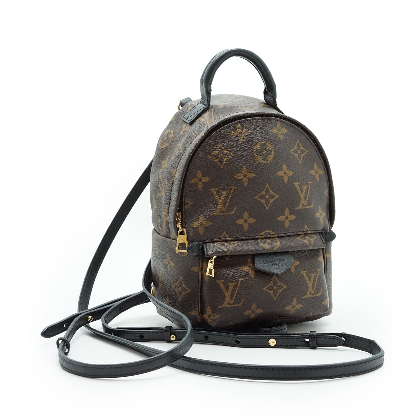 Monogram Palm Springs Mini