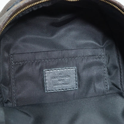 Monogram Palm Springs Mini