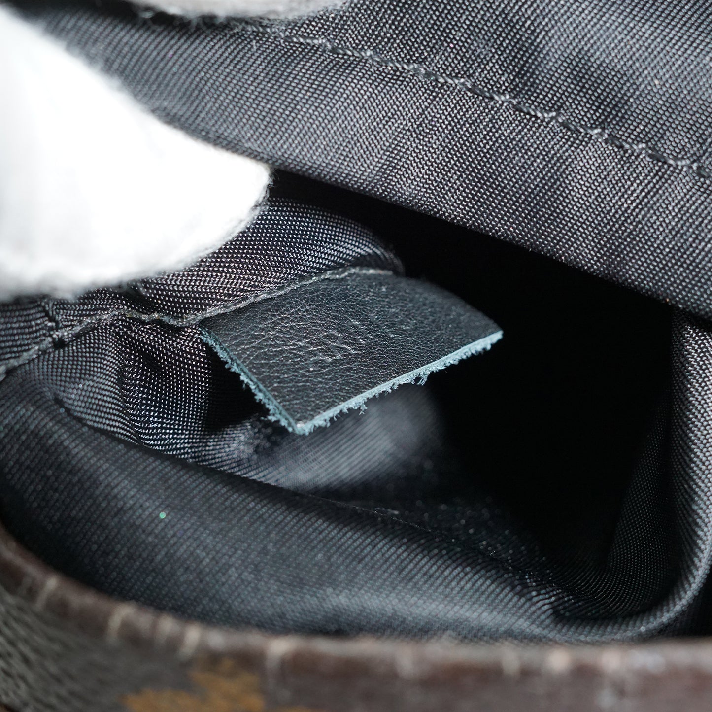 Monogram Palm Springs Mini