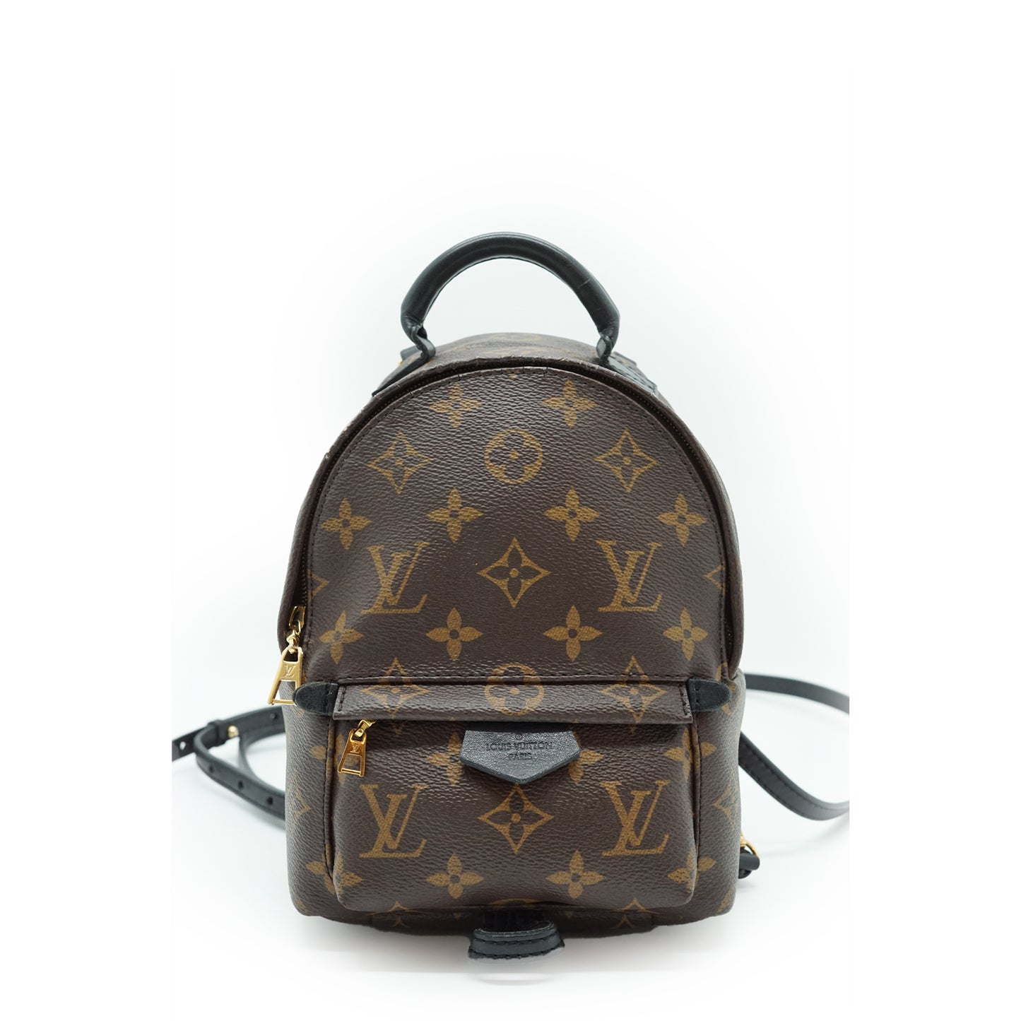 Monogram Palm Springs Mini