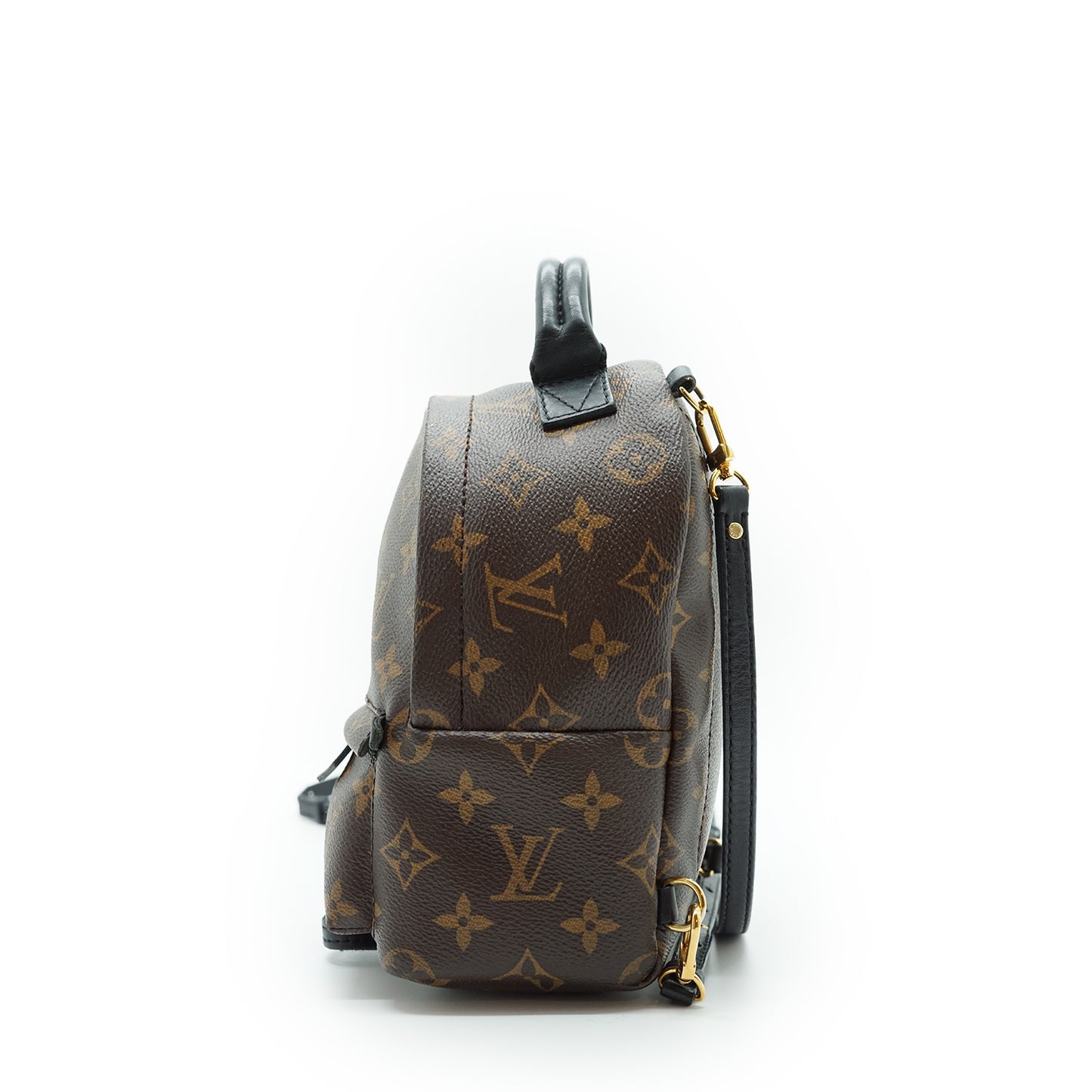 Monogram Palm Springs Mini