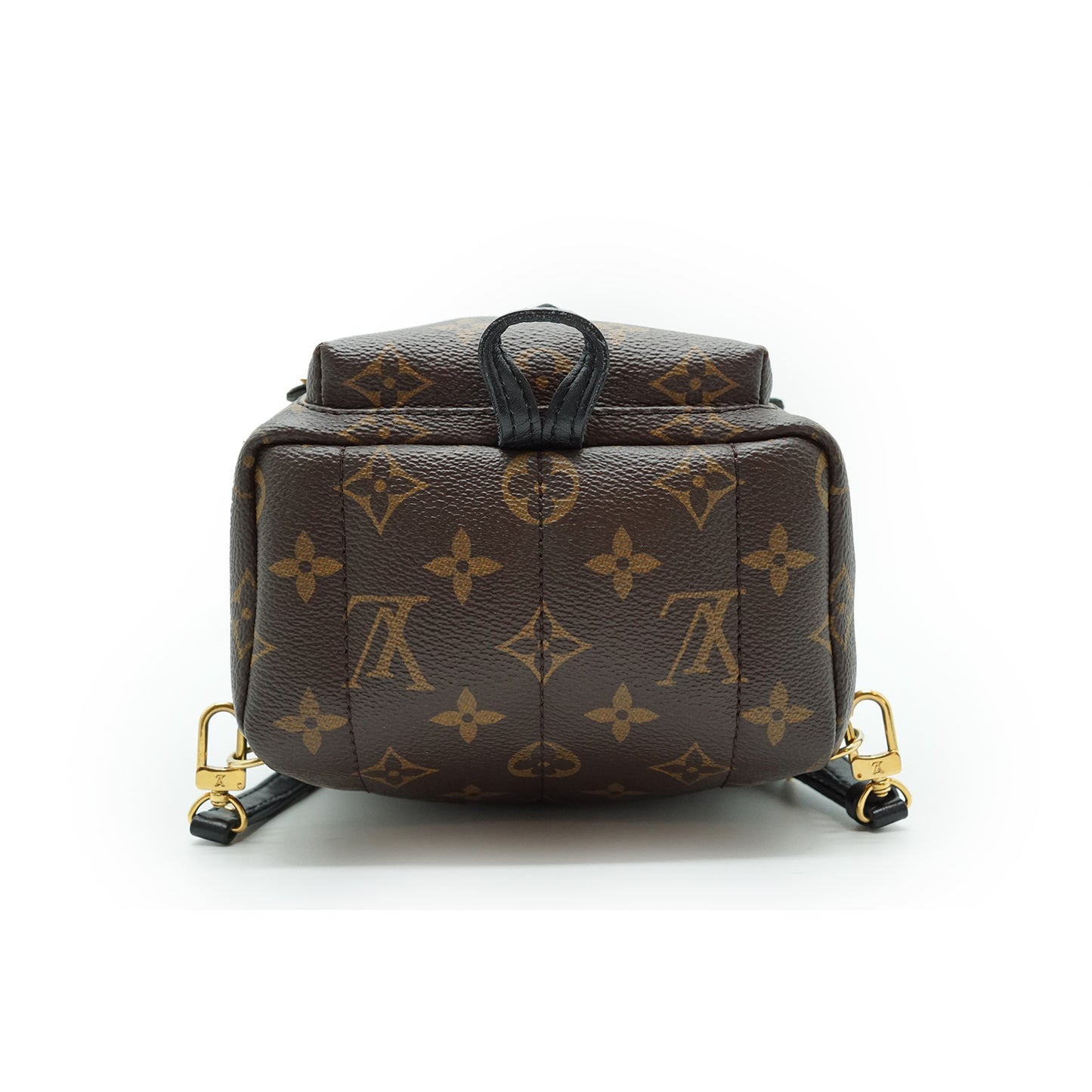 Monogram Palm Springs Mini