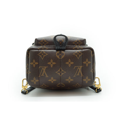 Monogram Palm Springs Mini