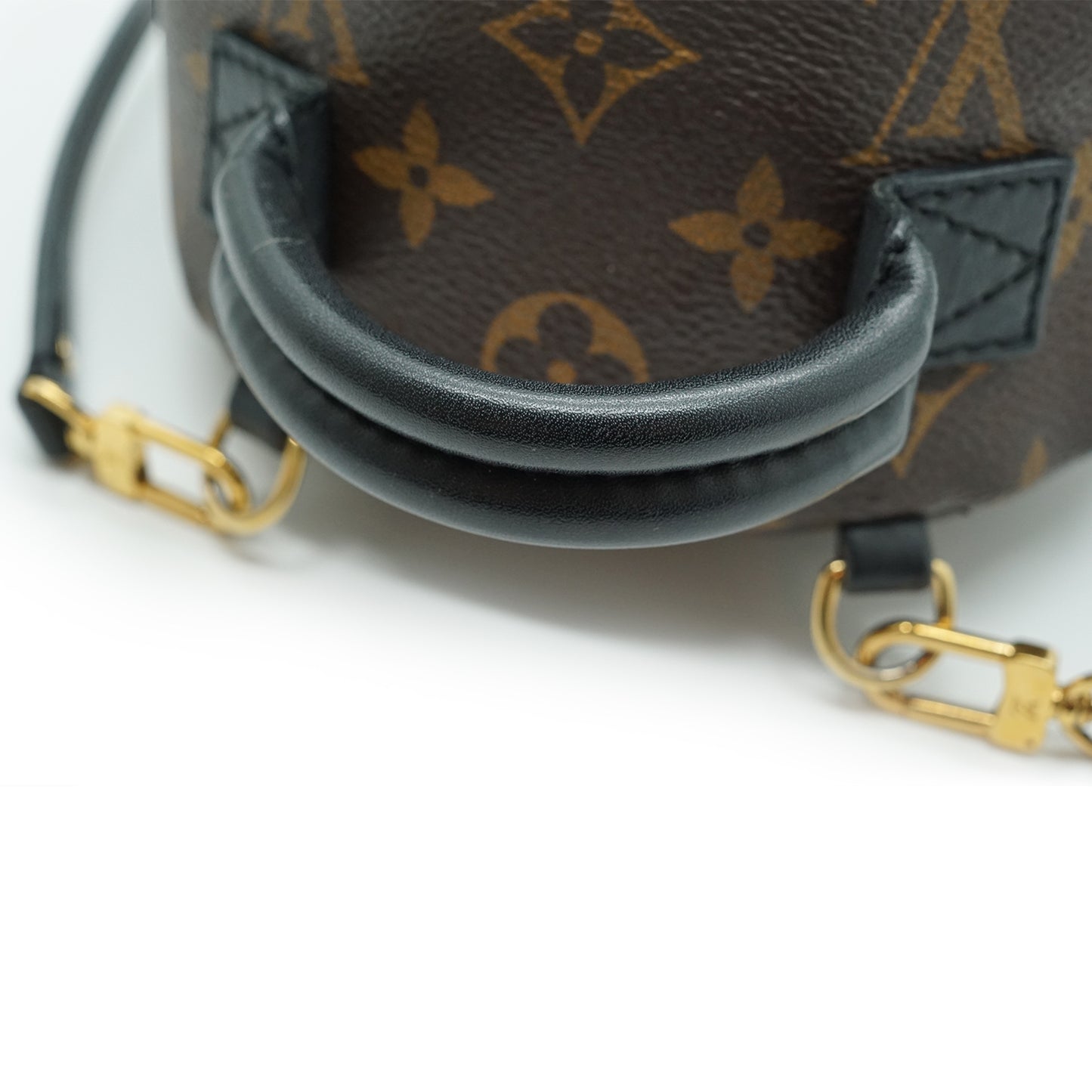 Monogram Palm Springs Mini