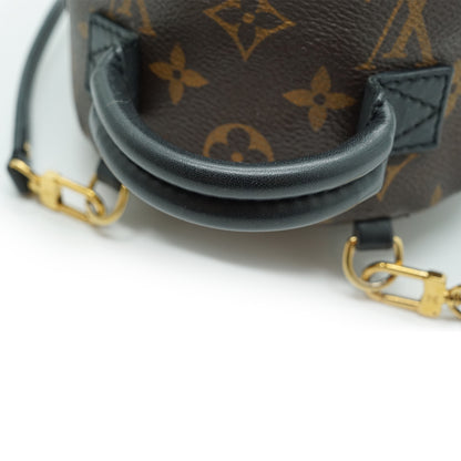 Monogram Palm Springs Mini