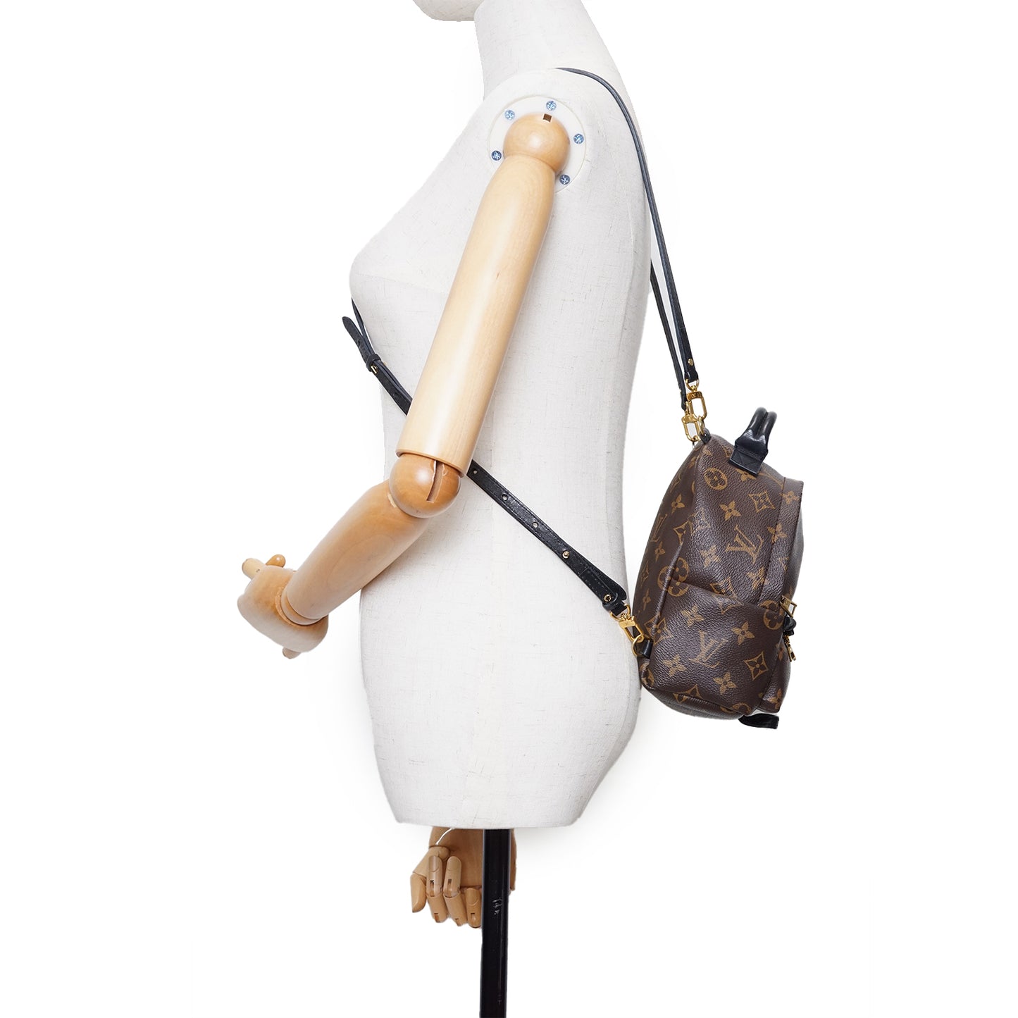 Monogram Palm Springs Mini