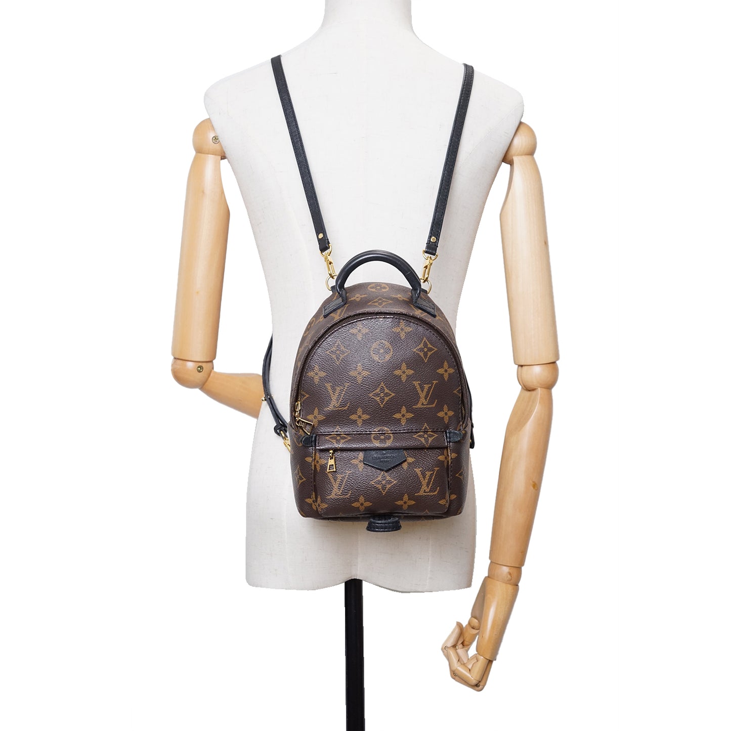 Monogram Palm Springs Mini