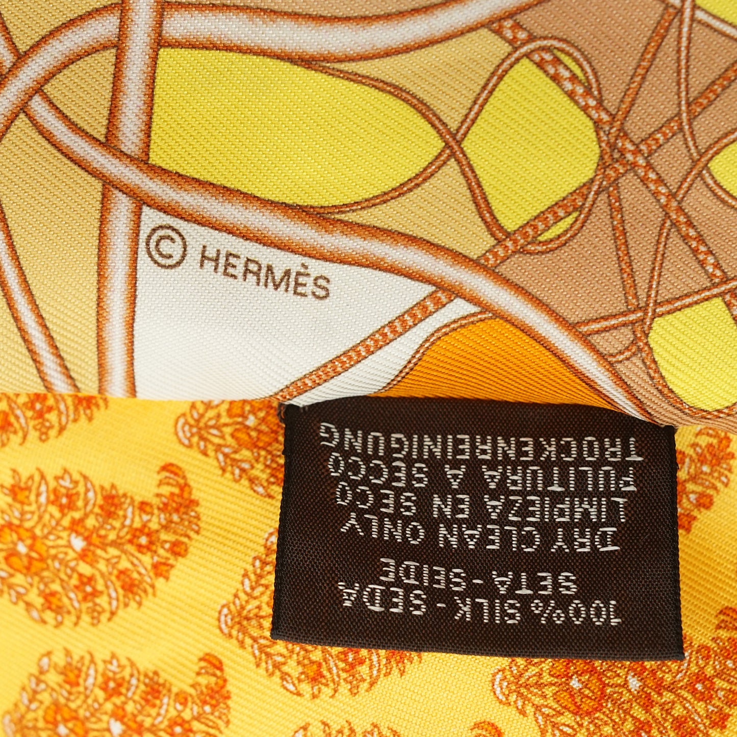 Coup de Fouet Au Bloc Silk Twilly