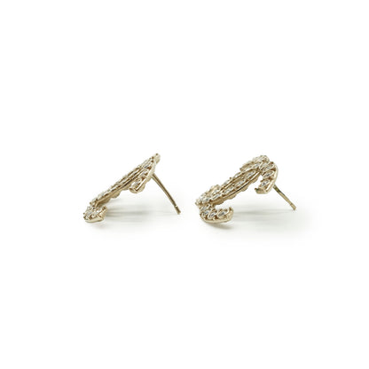 CC Crystal Earrings