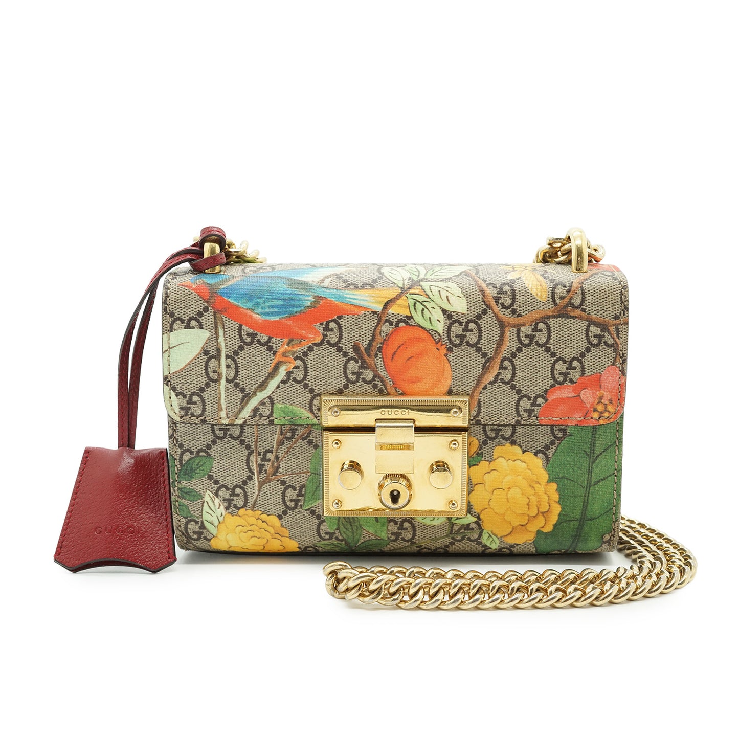 GG Supreme Tian Padlock Floral Print Small Chain Shoulder Bag
