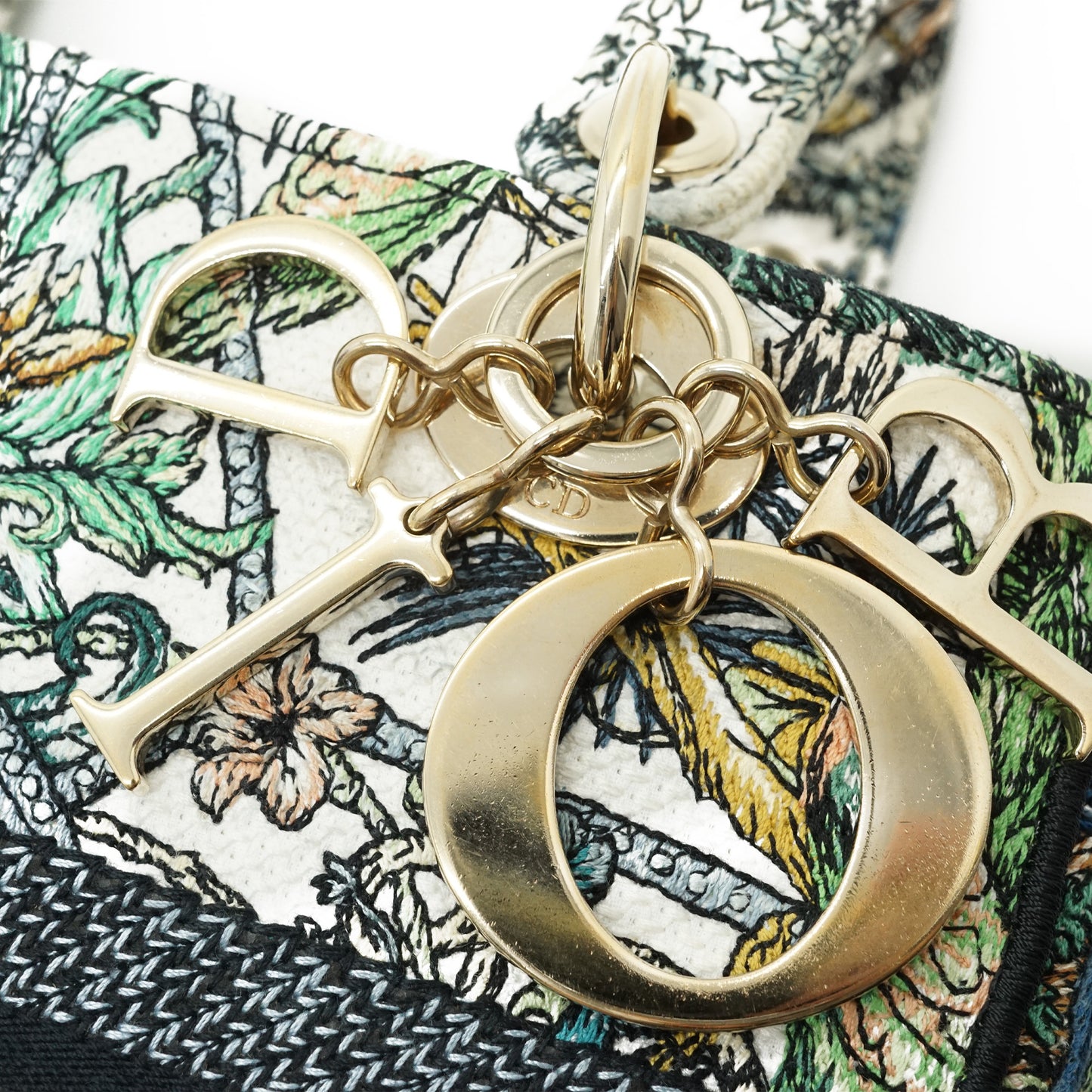Lady Dior Medium Embroidered D-Lite